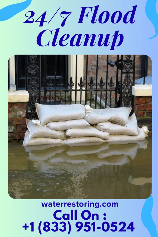 24/7 Flood Cleanup in Catron, MO