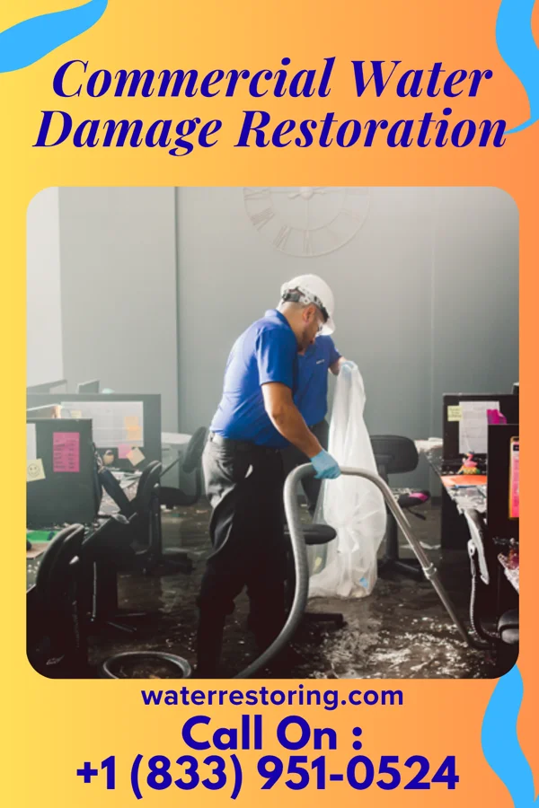 Commercial Water Damage Restoration in Catron, MO