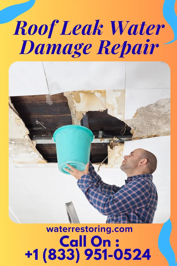 Roof Leak Water Damage Repair in Catron, MO